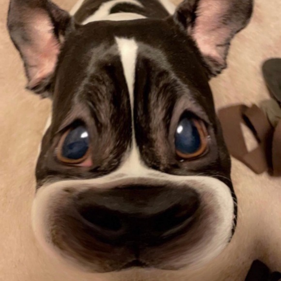 Meet your Posher, Jenna - Picture 1 of 1